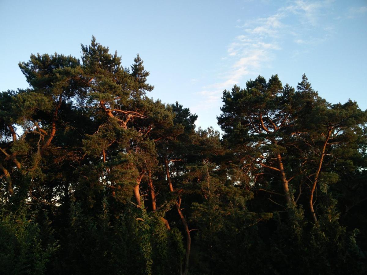 Ferienwohnung am Küstenwald Trassenheide Exterior foto